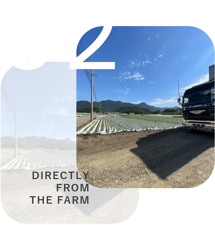 産地直送イメージ