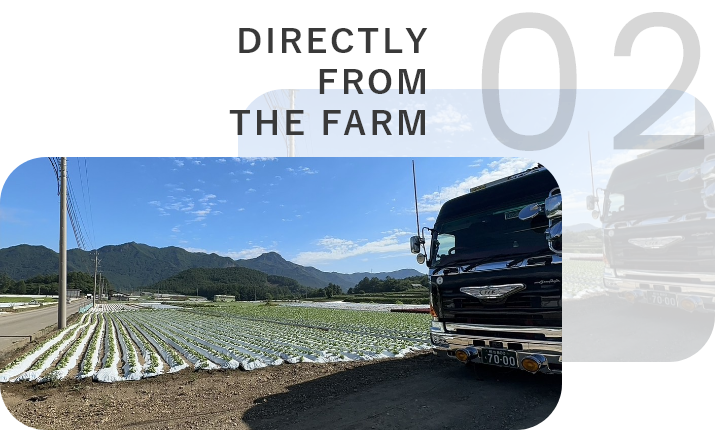 産地直送イメージ