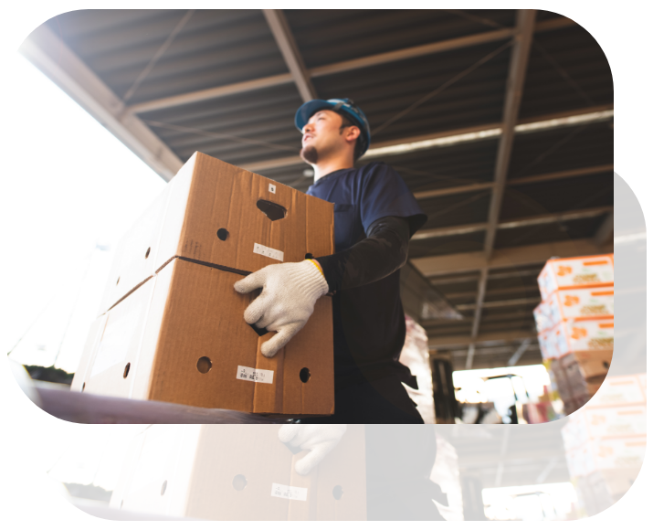 産地直送イメージ